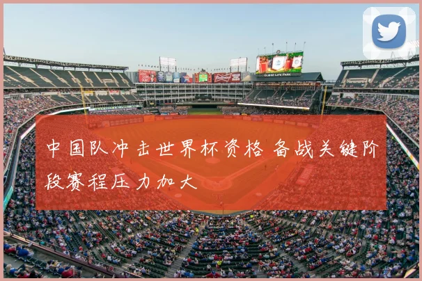 中国队冲击世界杯资格 备战关键阶段赛程压力加大