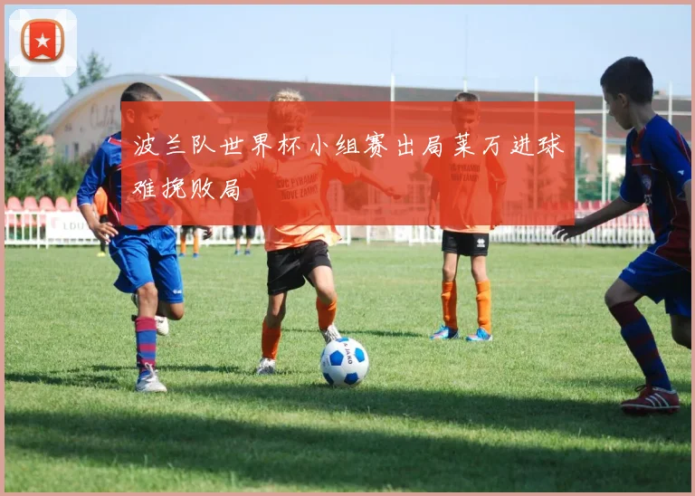 波兰队世界杯小组赛出局莱万进球难挽败局