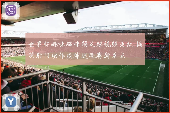 世界杯趣味猫咪踢足球视频走红 搞笑射门动作成球迷观赛新看点